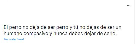 Tweet evita atropellar a un perro, lo termina mordiendo.