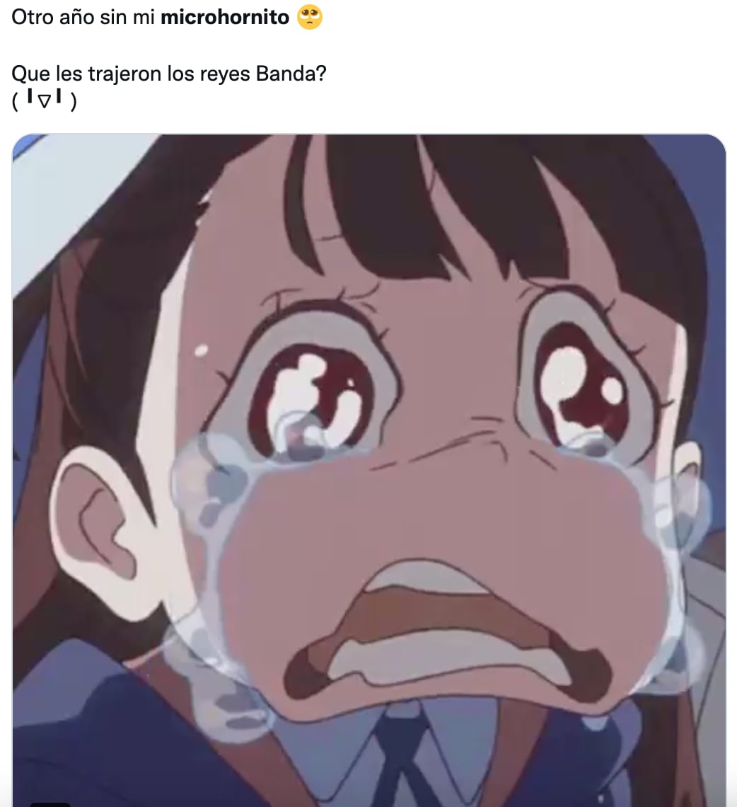 Memes del Micro hornito