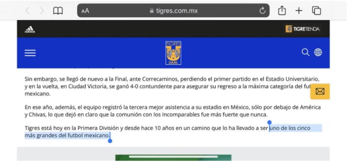 Sitio web Tigres