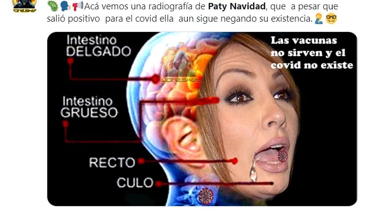 Memes sobre Paty Navidad y su contagio de Covid-19