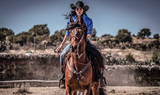 Telenovela "La Desalmada"