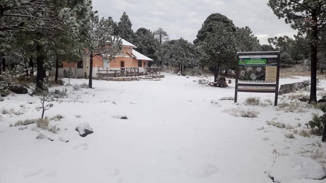 Nieve en Cofre de Perote, Veracruz
