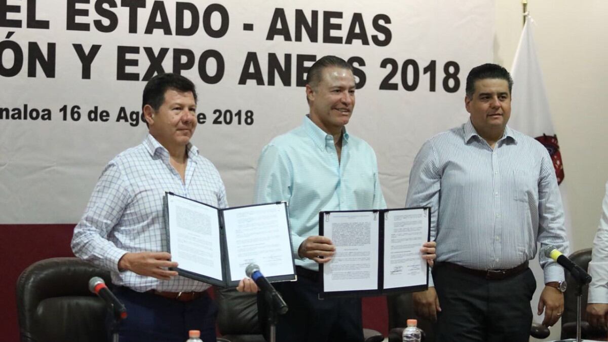 ANEAS