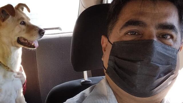 Señor ofrece viajes pet friendly en CDMX y Área Metropolitana