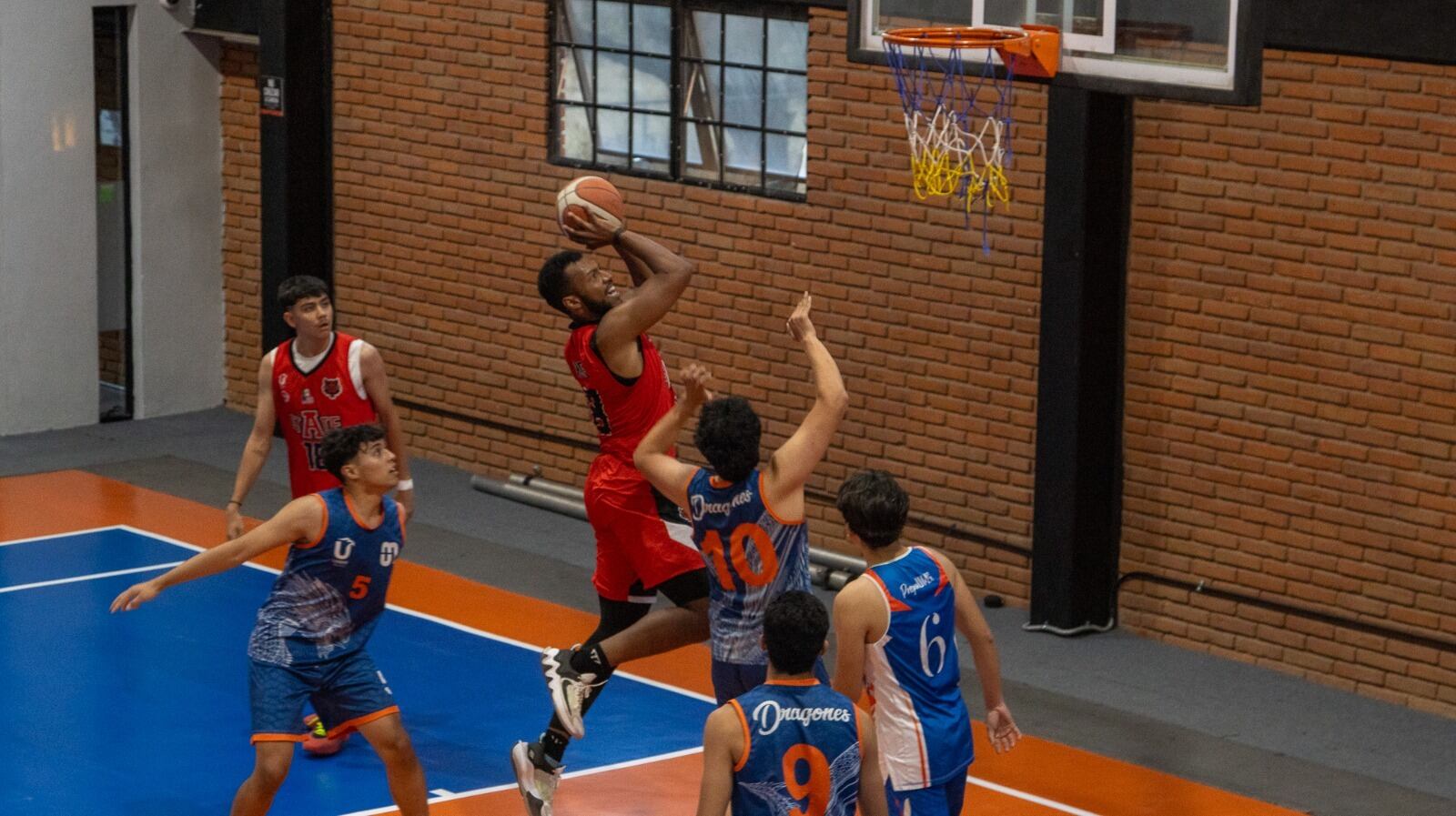 Elisia Education Hub reafirma su compromiso con el deporte y presenta a sus equipos representativos Red Wolves Basketball, que competirán en ABE, CONDDE y CONADEIP durante la temporada 2025.