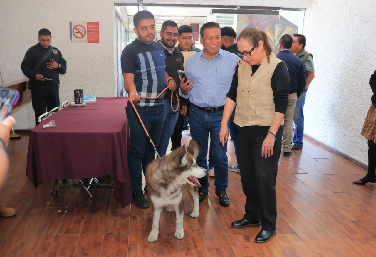“Huellitas de Amor”: Ecatepec va por control de perros y gatos callejeros.