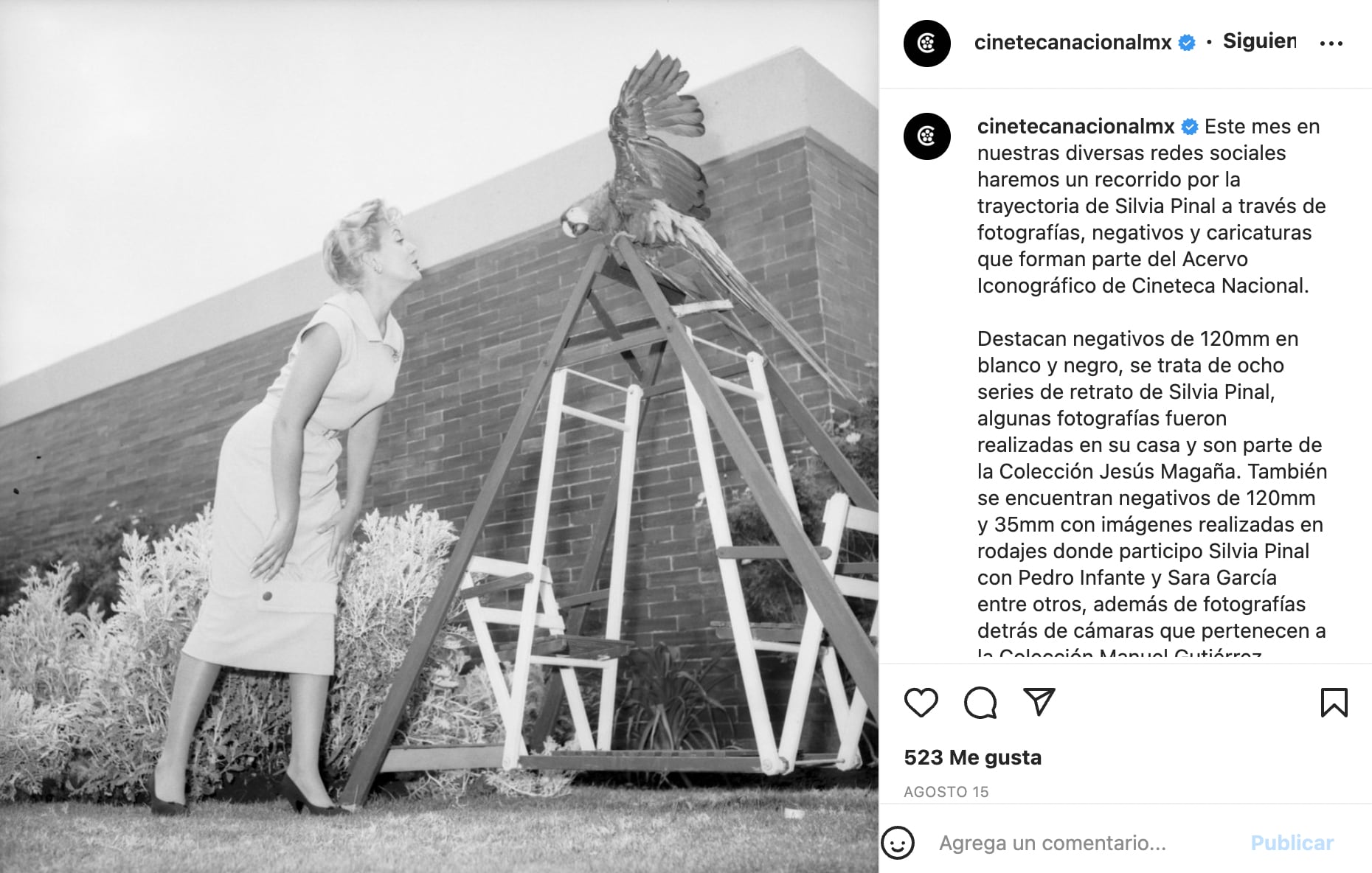 La Cineteca Nacional realizará un ciclo de cine con las películas de Silvia Pinal y Luis Buñuel