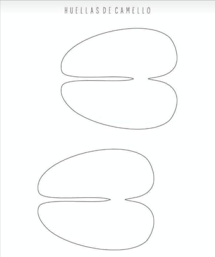 Plantillas de huellas de los Reyes Magos y sus animales