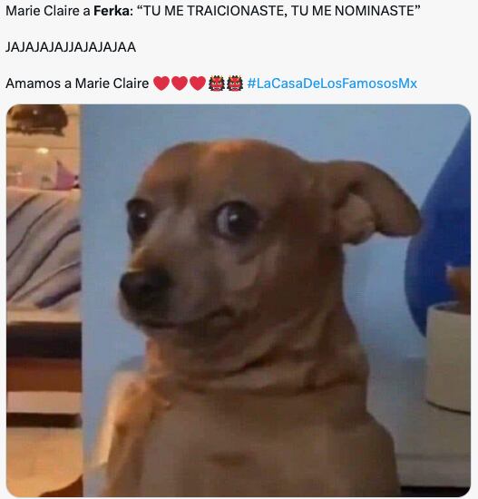 Los memes aman a Marie Claire Harp tras su pelea con Ferka en la pre gala de La Casa de los Famosos