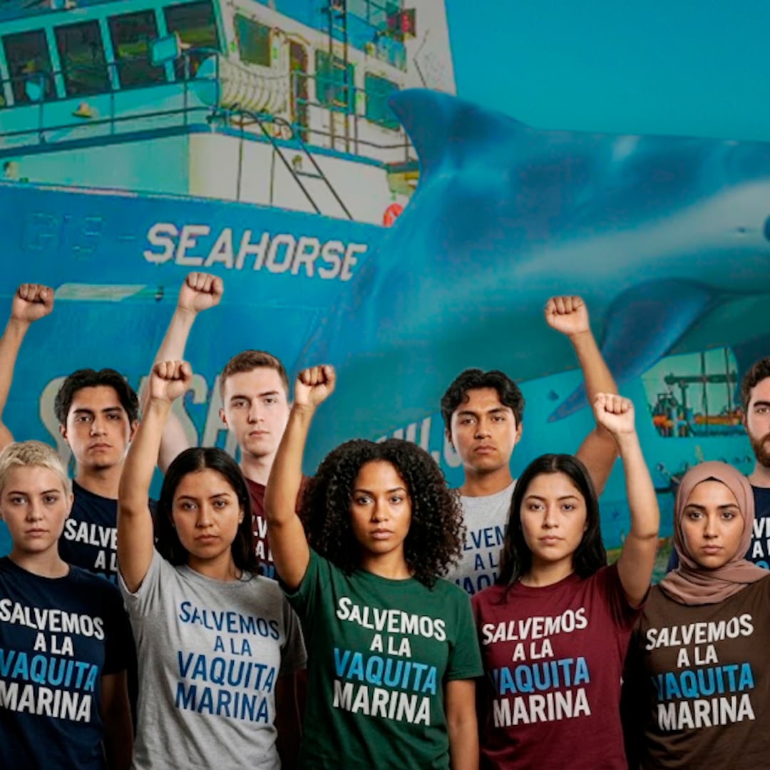 Once jóvenes se preparan para proteger a la vaquita marina junto a Sea Shepherd