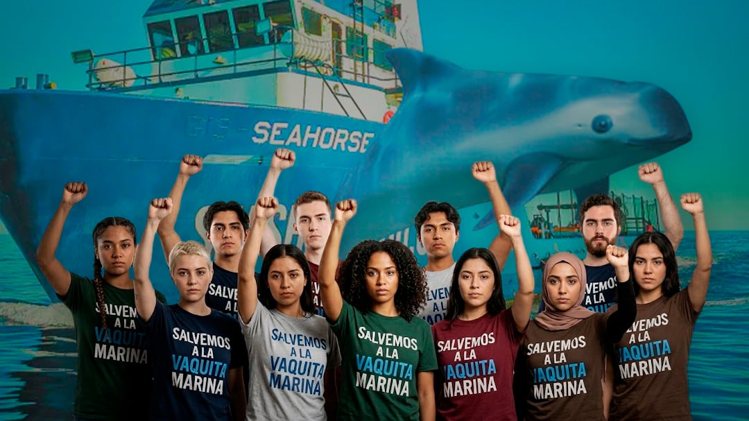 Once jóvenes se preparan para proteger a la vaquita marina junto a Sea Shepherd