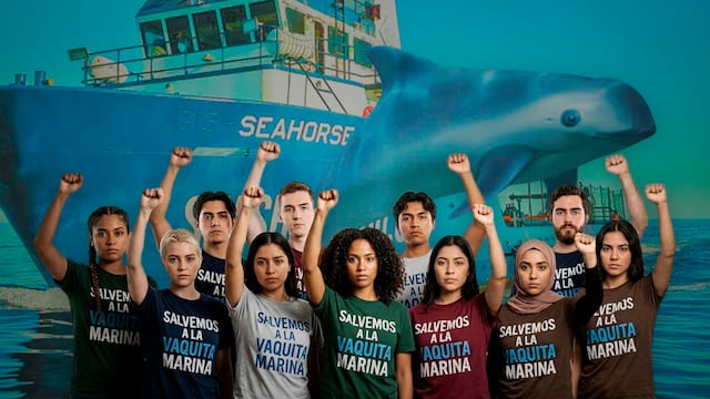 Sea Shepherd y el gobierno de México entrenan a 11 jóvenes para proteger a la vaquita marina