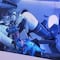 Un dinosaurio de peluche, el tercer pasajero del Crew Dragon de SpaceX