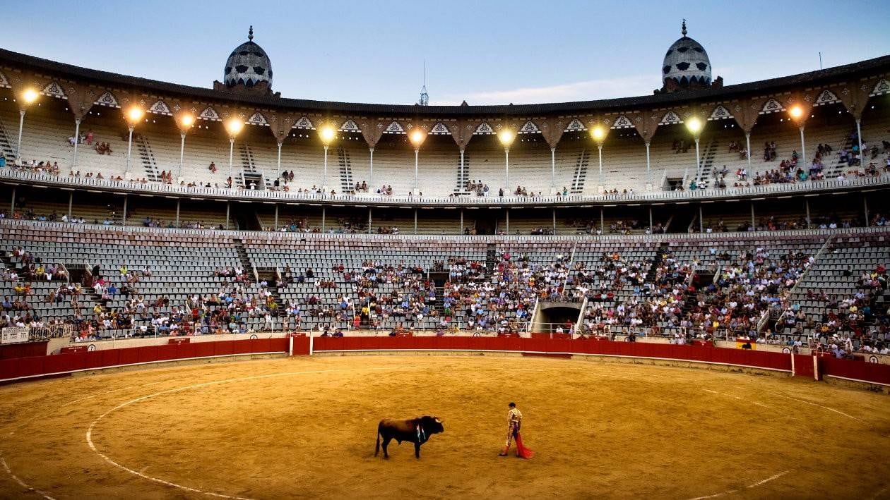 Corridas de Toros