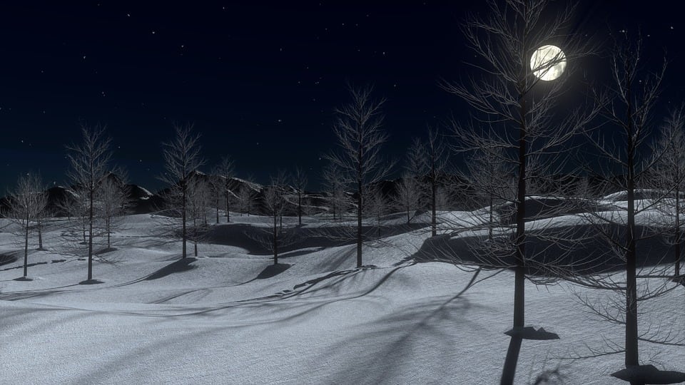 Luna en invierno