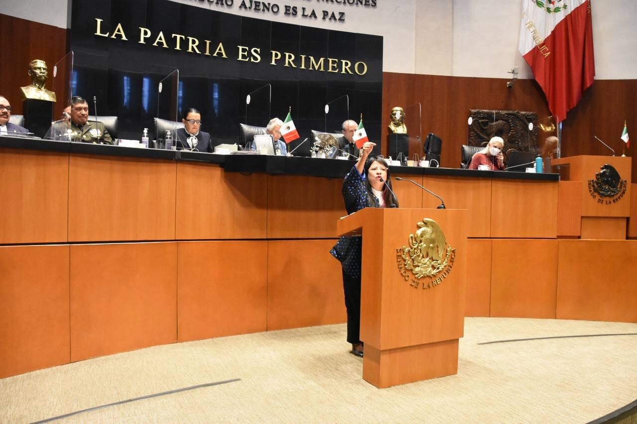 Indira Kempis, senadora de Movimiento Ciudadano