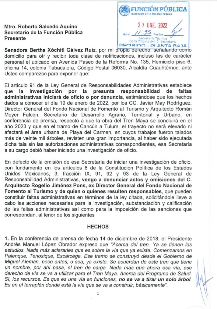 Denuncia SFF por tala en obras del Tren Maya