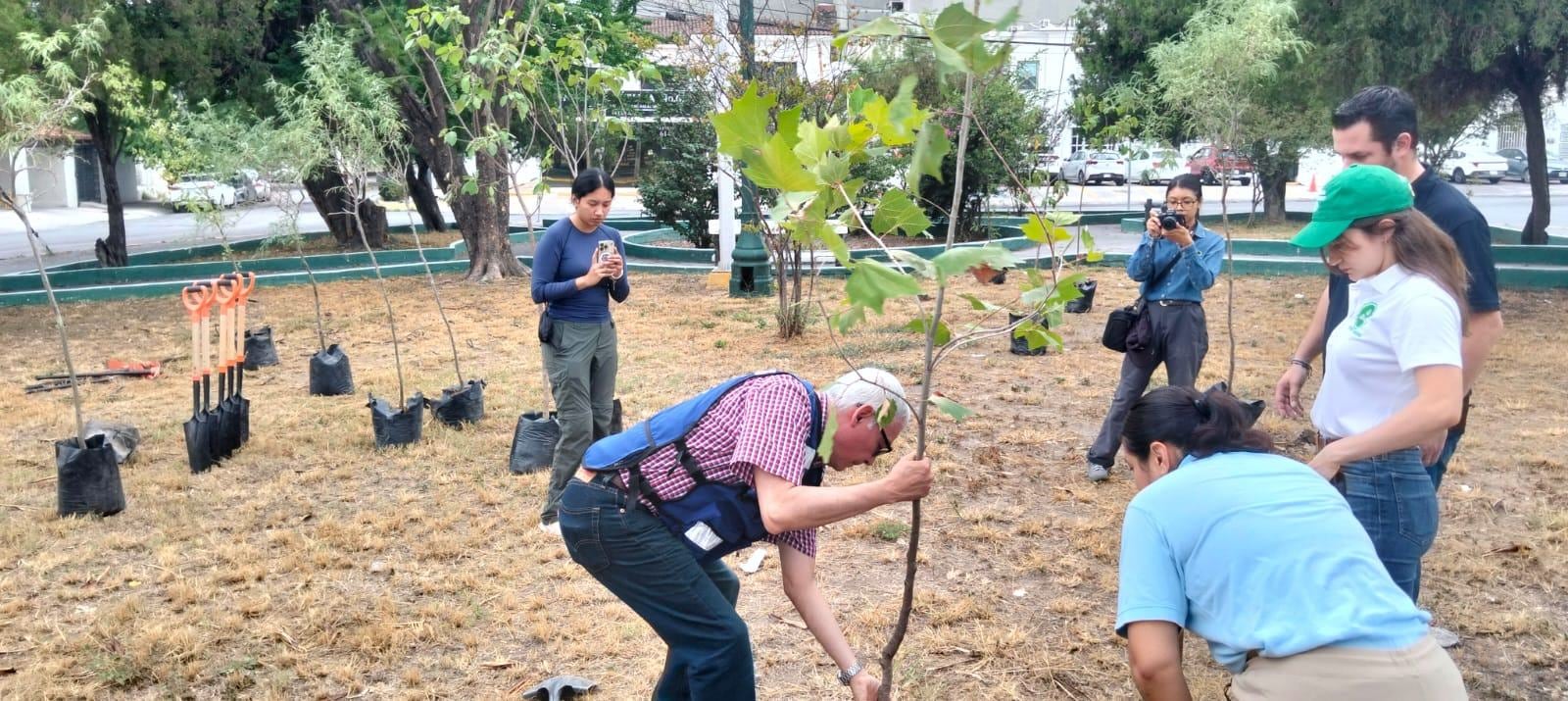Monterrey planta 20 árboles nativos en el Parque Aarón Sáenz.