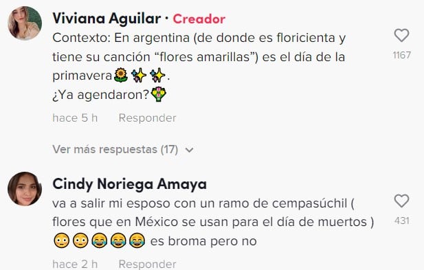 Comentarios de TikTok