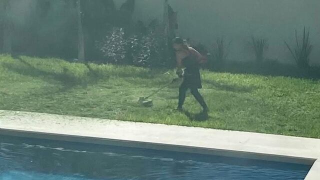 La vio por la ventana cortando el césped del jardín/Plácido Garza