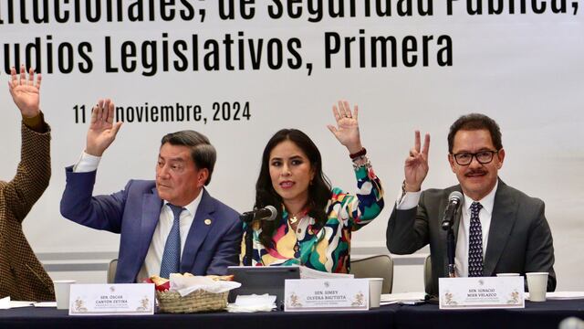 Ignacio Mier Velazco