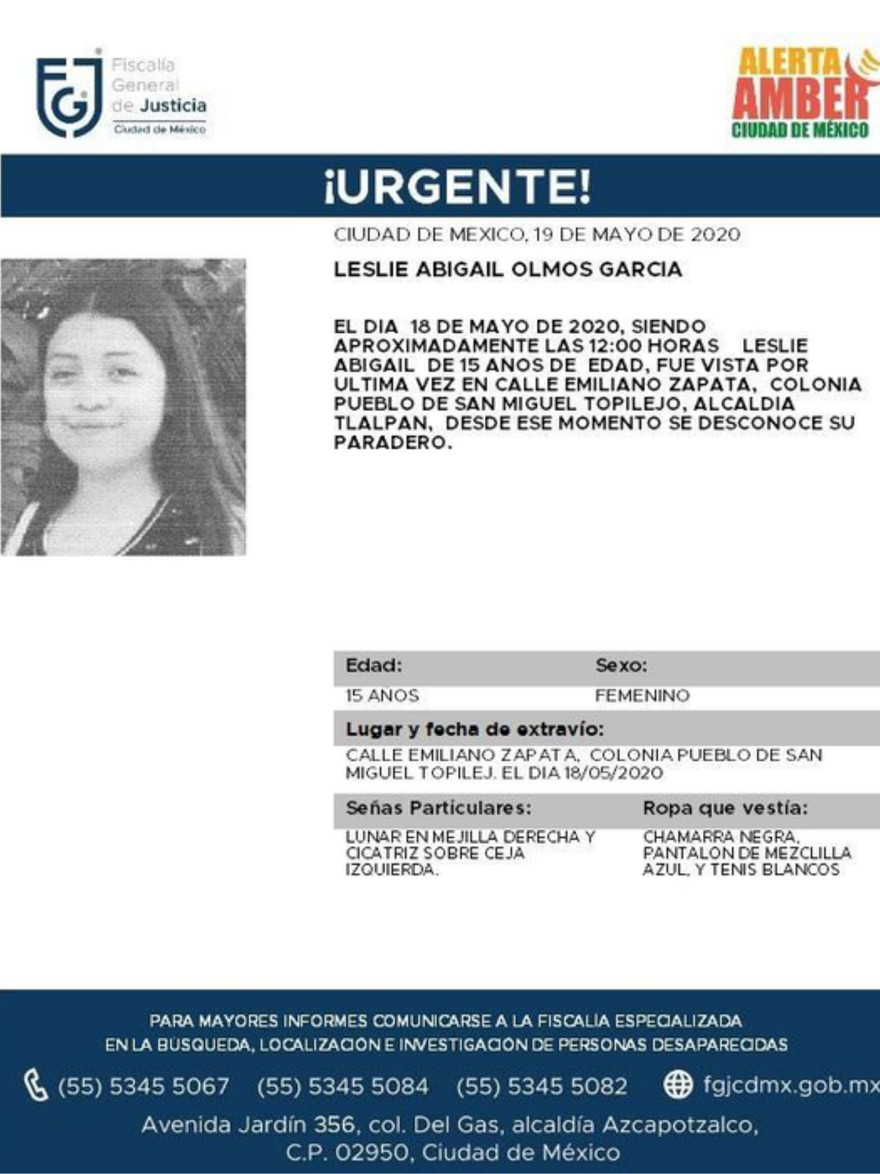 Ficha de búsqueda.