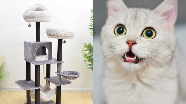 Este es el rascador para gatos de oferta en Costco