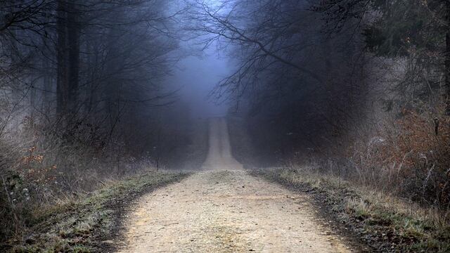 Camino congelado