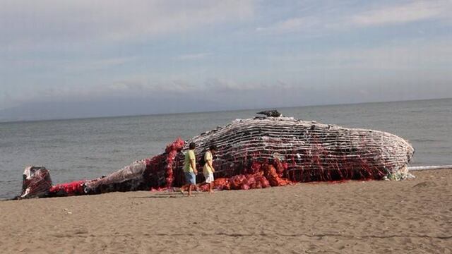 La instalación se hizo con basura encontrada en la zona.