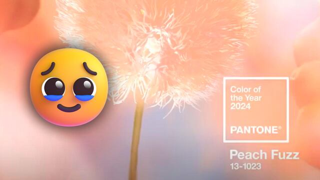 Significado de Peach Fuzz, color del año 2024 Pantone