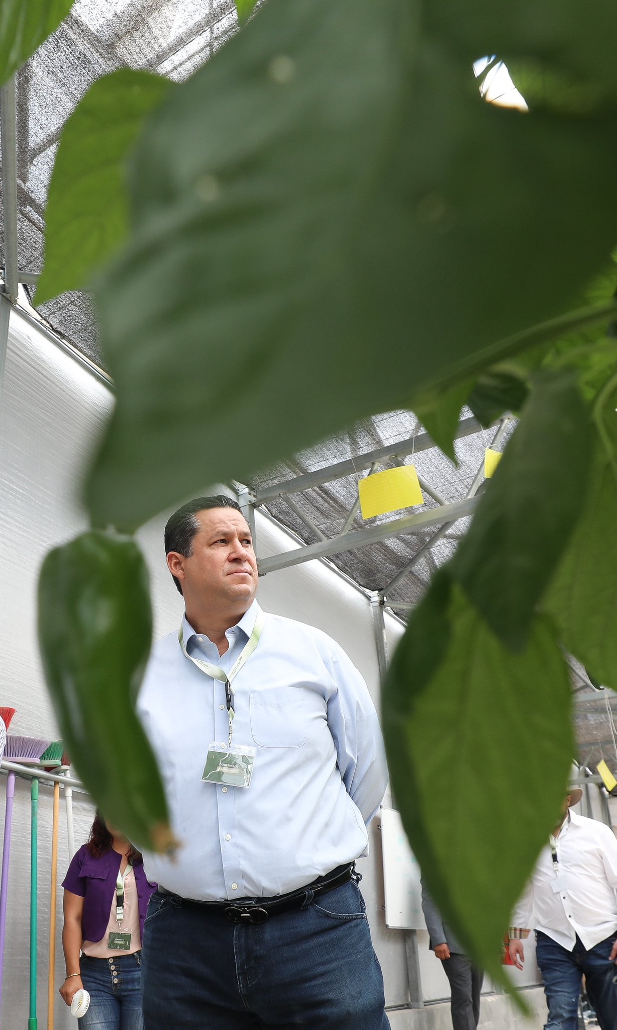 Diego Sinhue Rodríguez