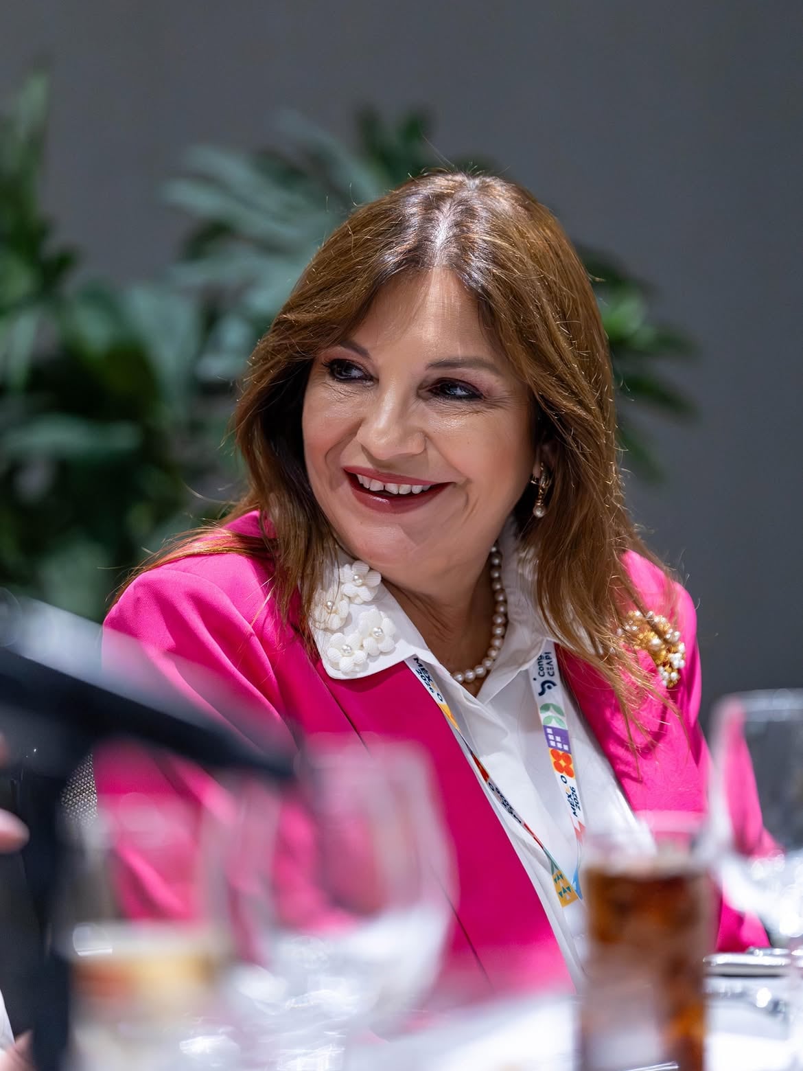 Maricel Cohen, Primera Dama de Panamá