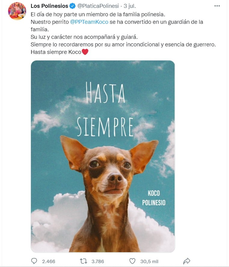 Los Polinesios