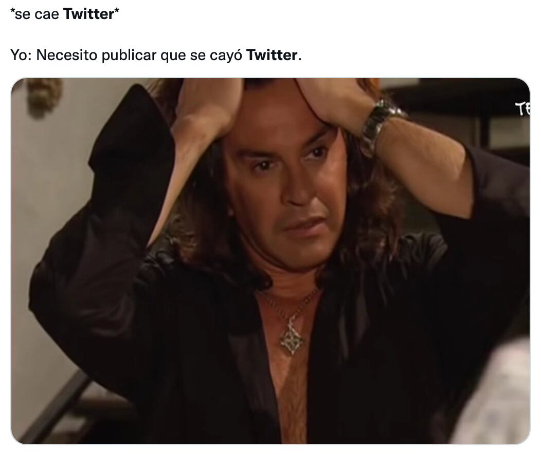 Memes caída de Twitter