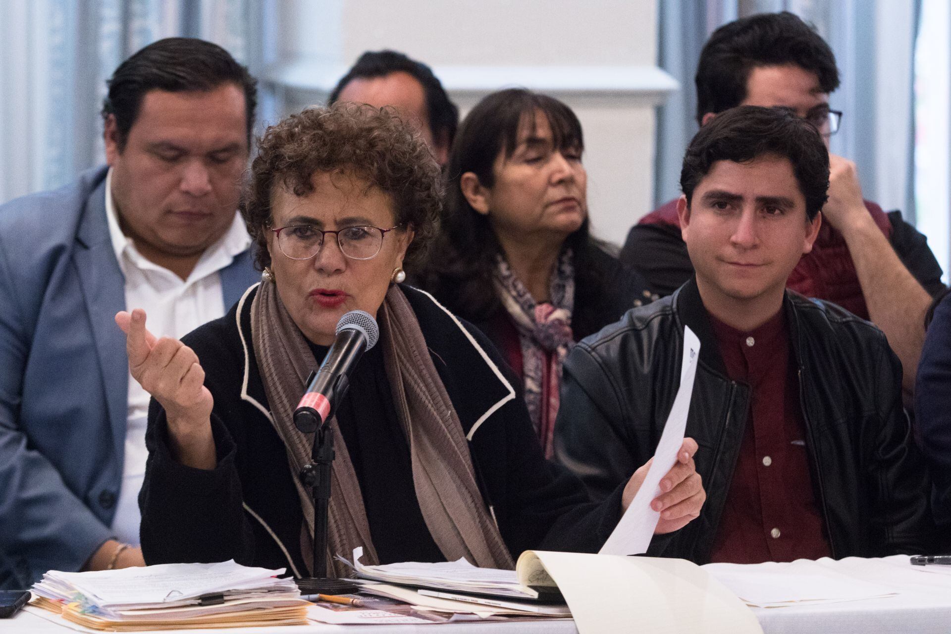 Bertha Luján, Bertha Luján, presidenta del Consejo Nacional de Morena