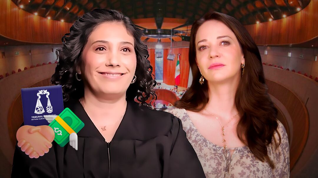 Dora la Transformadora, ex candidata a la SCJN, se solidariza con Laisha Wilkins por sanción del TEPJF