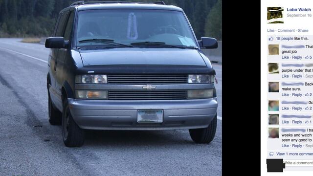 Evidencia fotográfica sobre el atropellamiento de los lobos, a los cuales dejó moribundos