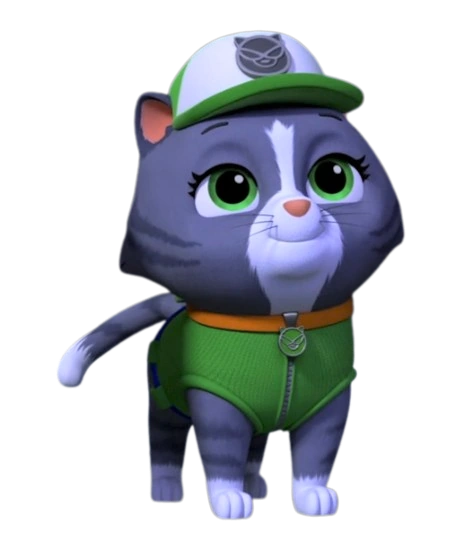 Rocky de los Gatitos Desastrosos de Paw Patrol