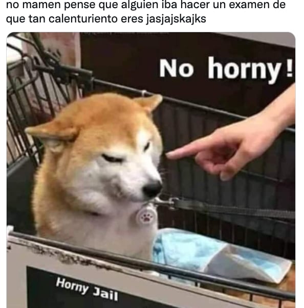 Meme de Horny Test