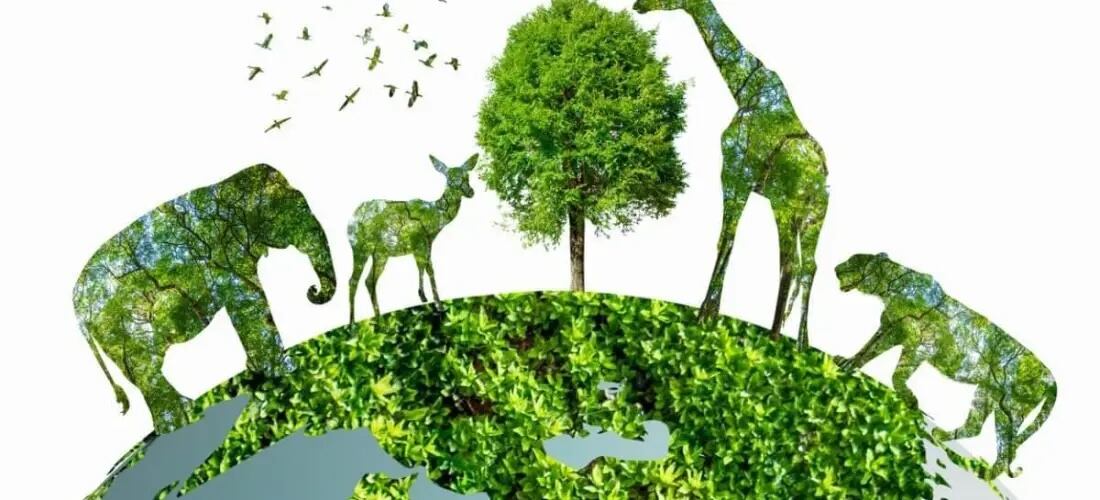 ¿Qué se celebra el 22 de mayo? Hoy es Día Mundial del Gótico, Día Mundial del Pac-Man y Día Internacional de la Diversidad Biológica