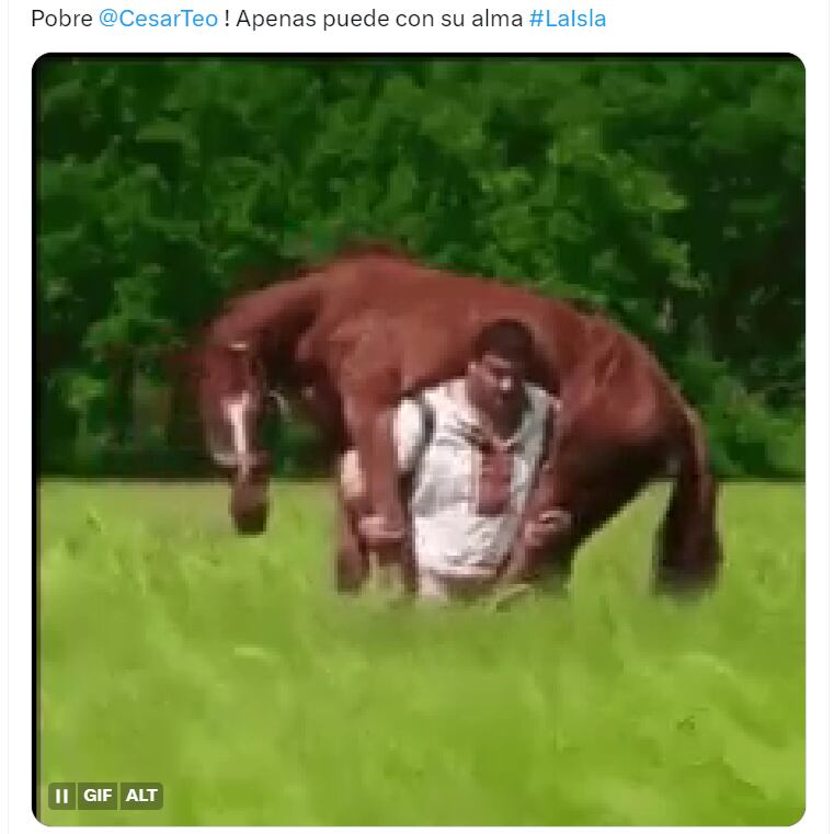 Memes de La Isla 2023 y el perdedor equipo naranja