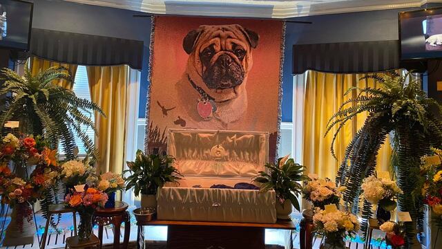 Funeral del perro 'Dexter'