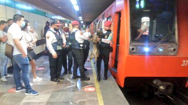 Perrito rescatado en el Metro