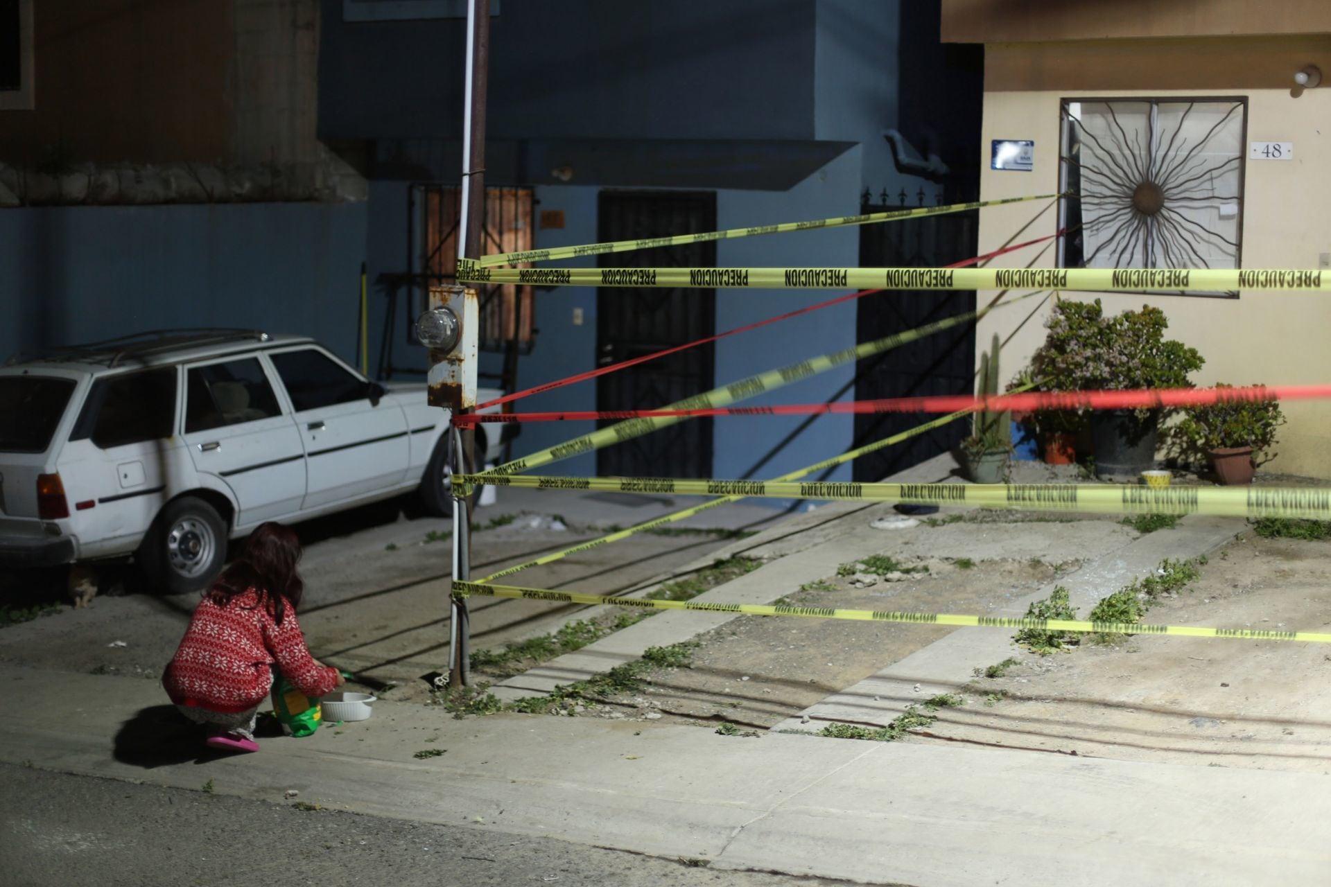 Niña da de comer a los gatos de la periodista Lourdes Maldonado, quien fue asesinada afuera de su domicilio