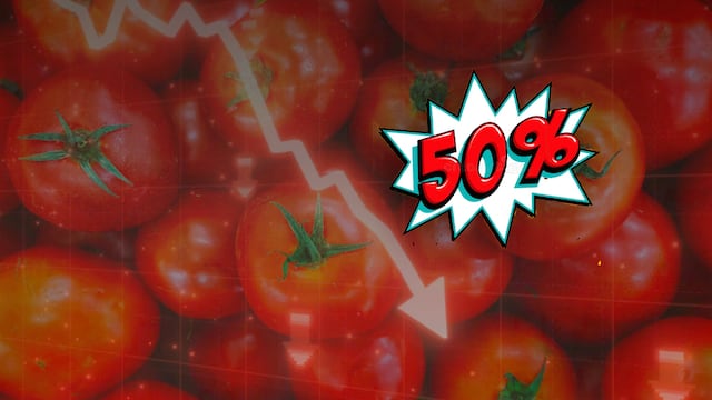 Cae precio del jitomate un 50% en las centrales de abasto
