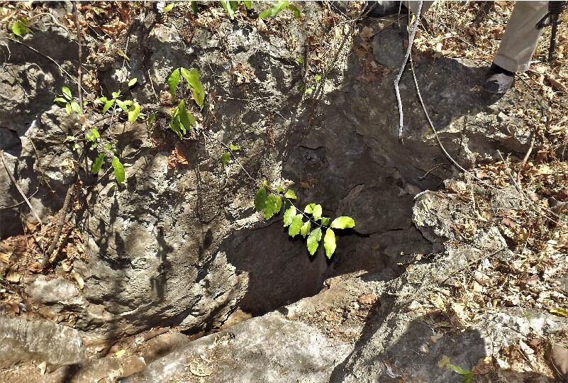 Cueva de Comalapa, en Chiapas, donde el INAH encontró 150 cráneos