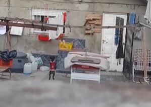 Video del perro de su vecino cuando está actuando como humano