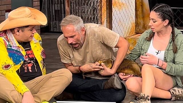 Arath de la Torre sufre mordedura de una martucha