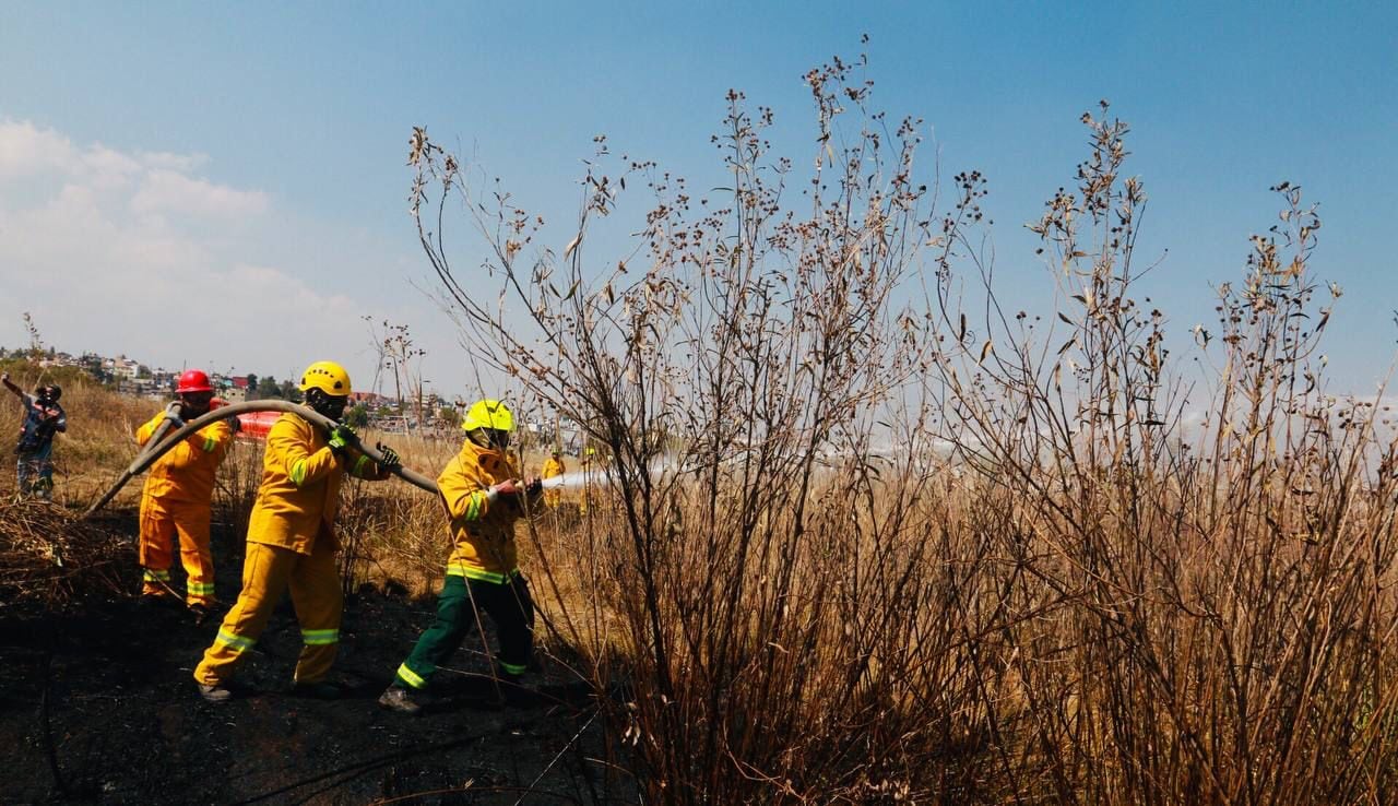 Bomberos apagan incendios forestales