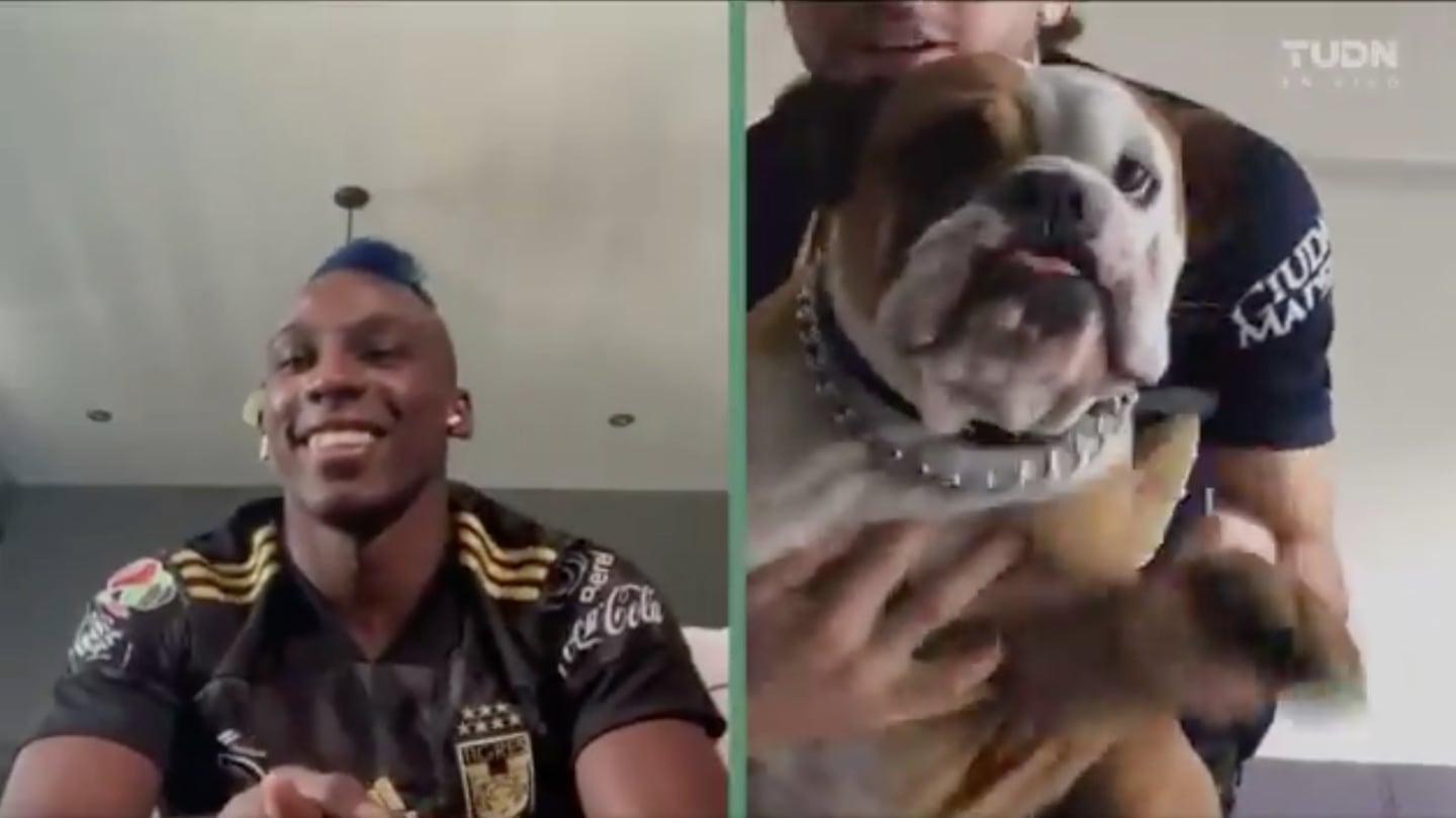 VIDEO: El 'perrón' festejo de Alan Mozo tras vencer a Tigres